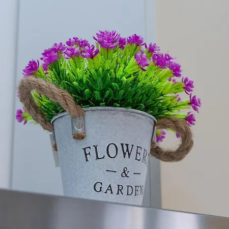 Vivi A Piedi Centro & Mare Balcone بيسكارا